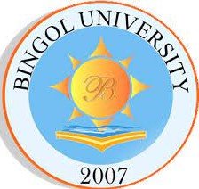 دانشگاه Bingöl